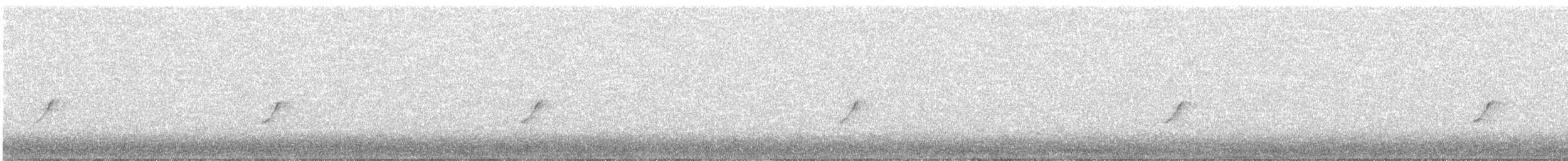 budníček menší - ML646848637