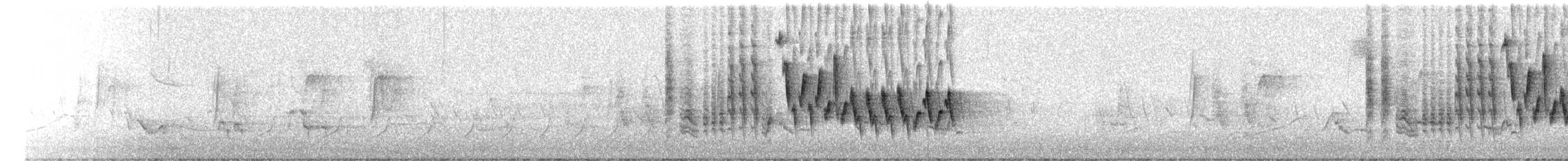 vrabec domácí - ML646848676