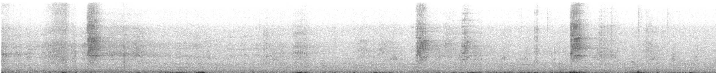 Попугай-монах - ML646849012