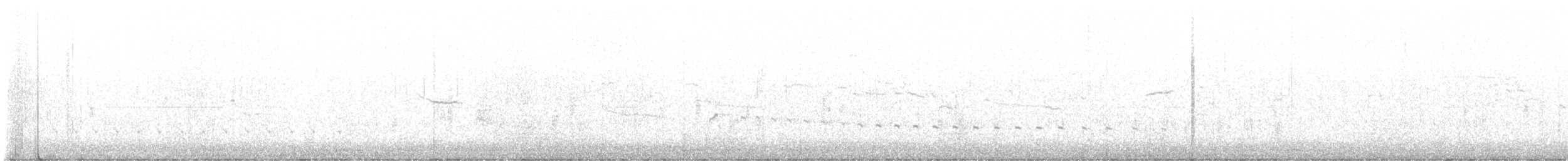 ברודית אמריקנית - ML646849232