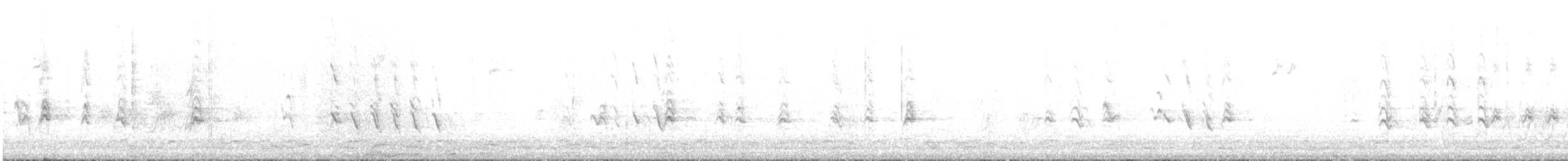 Мексиканская чечевица - ML646849719