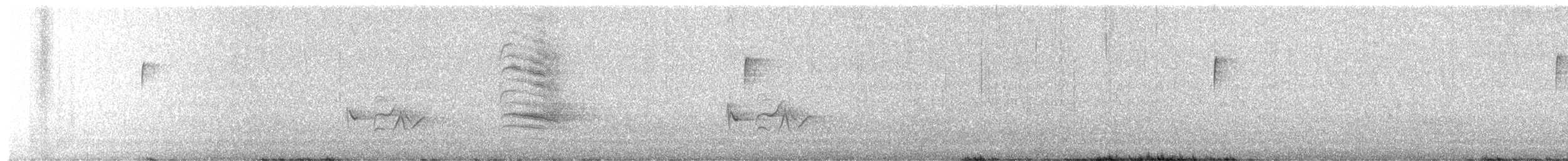 Пурпурная чечевица - ML646849960