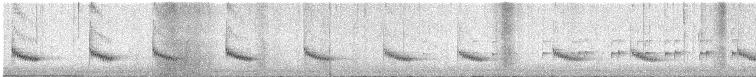 Каролинский крапивник - ML646850394