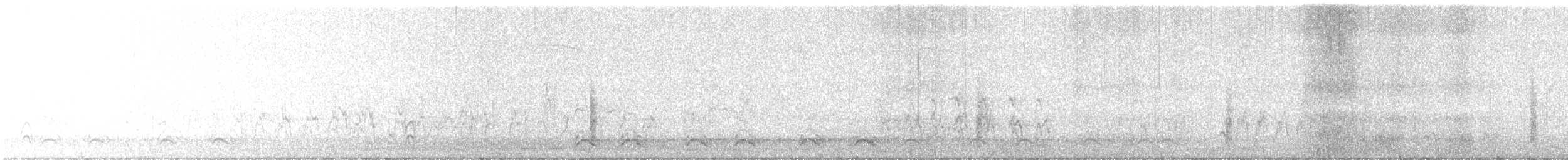 Brewer's Blackbird - ML646850918