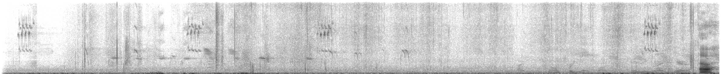 Boat-tailed Grackle - ML646851147