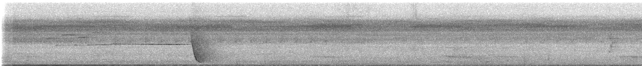 Eastern Whipbird - ML646851307