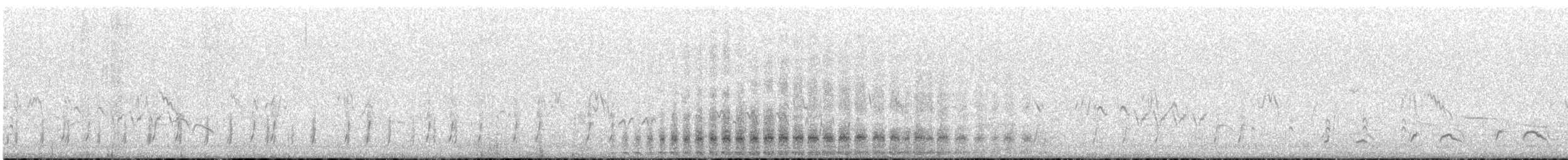 Puna Snipe - ML646852557