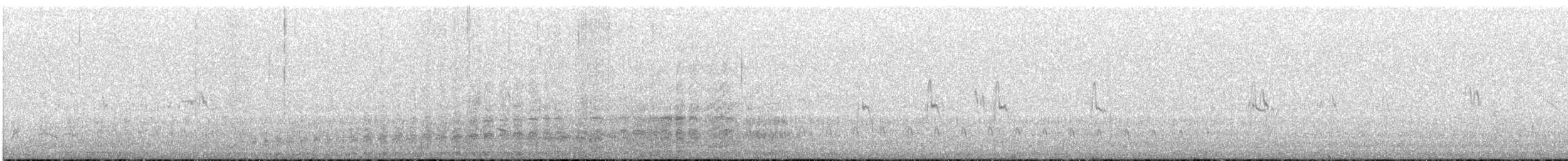 Puna Snipe - ML646852558