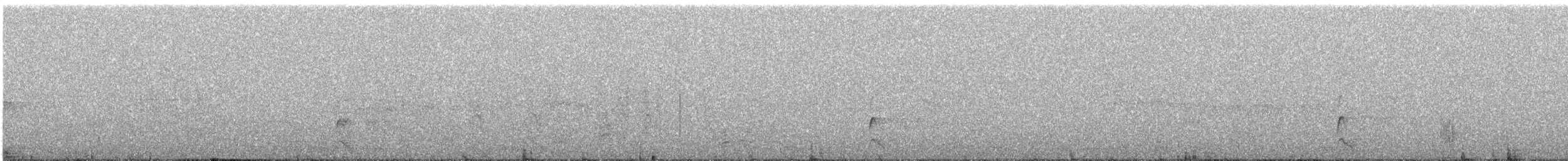 縱紋腹小鴞 - ML646852572