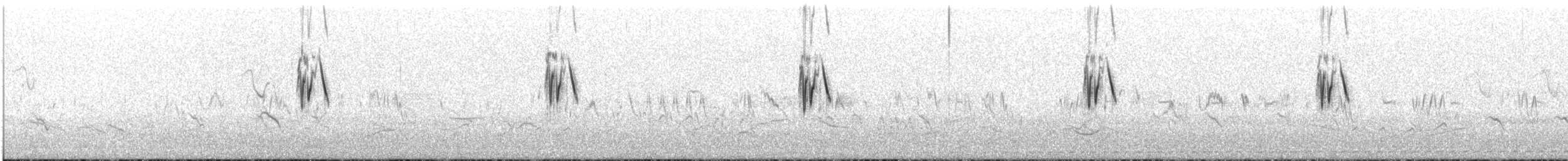 Paramo Pipit - ML646852851