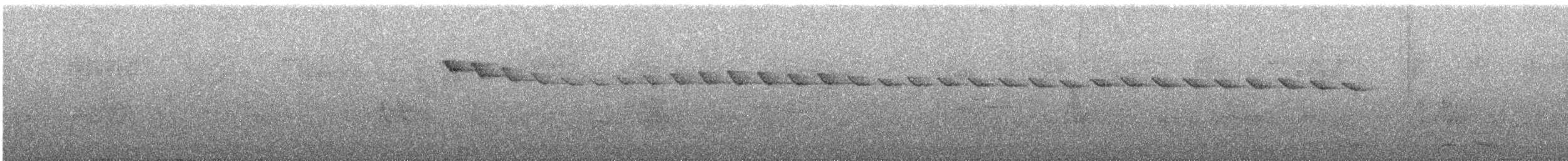 Pin-tailed Manakin - ML646853216