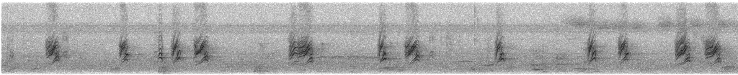 House Finch - ML646853546