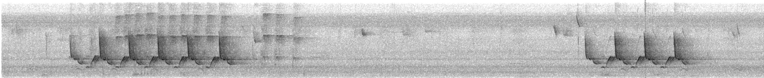 Carolina Wren - ML646853559