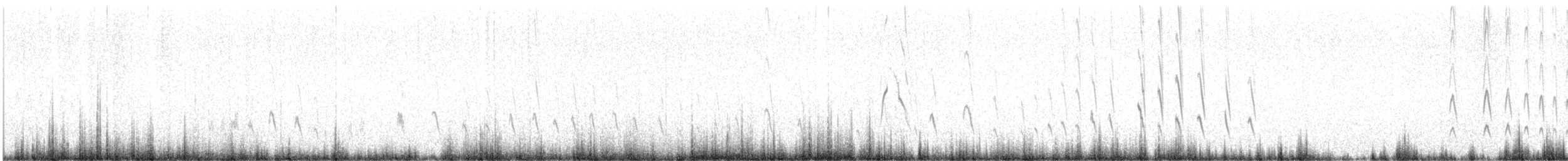 Землелаз світлочеревий - ML646854284