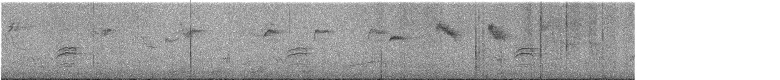 Дрізд-короткодзьоб плямистоволий - ML646854440