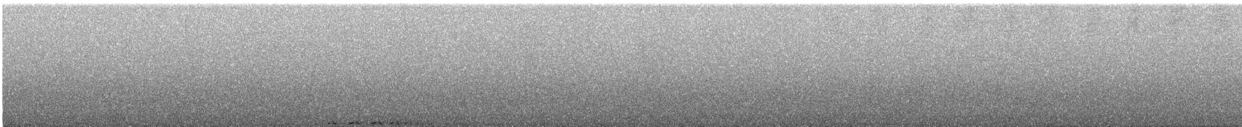 Tawny-browed Owl - ML646854644