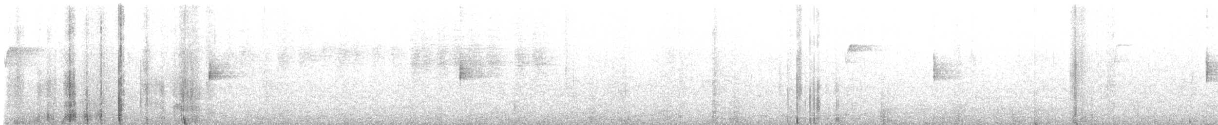 Louisiana Waterthrush - ML646855414