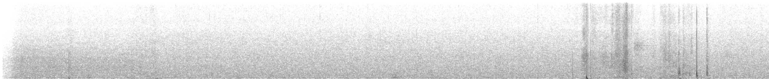 strømparula - ML646855415