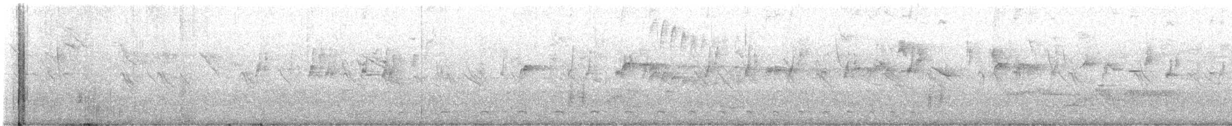 hvitbrystmaurvarsler - ML646855641