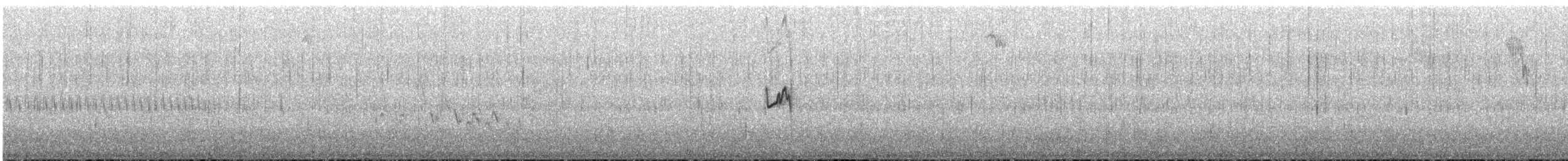 paramotyrann - ML646855782