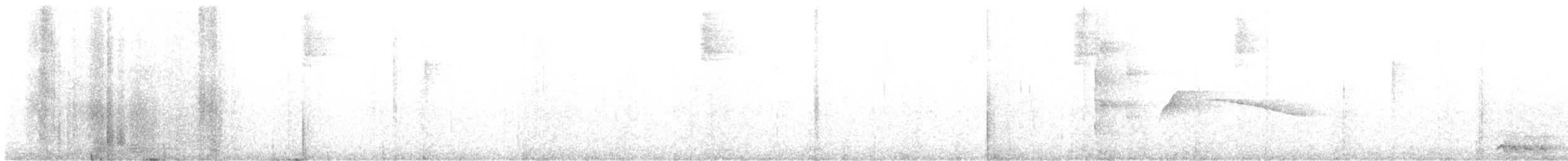 antrasittspurv - ML646855843