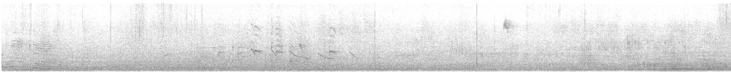 muskatnonne - ML646855968