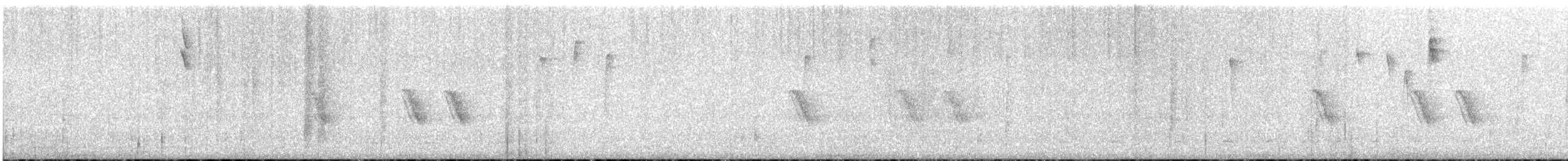 maskeblomsterborer - ML646856097