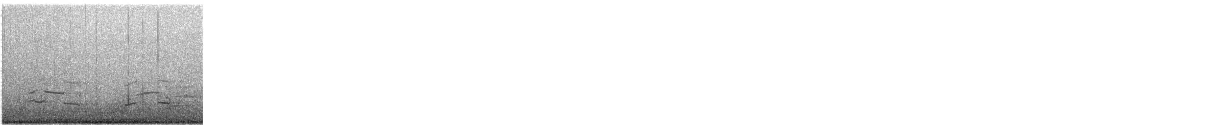 Goéland à bec cerclé - ML646856678