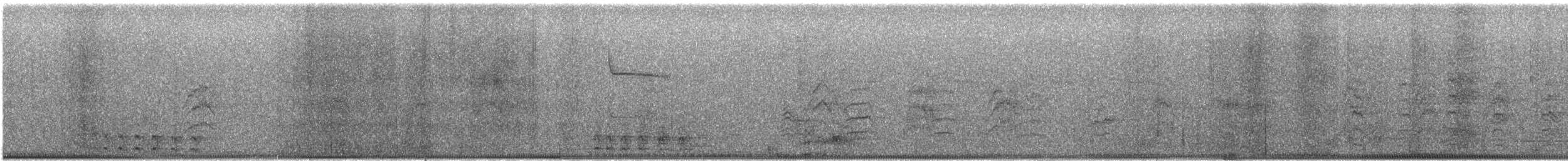 Coppery-tailed Trogon - ML646856722