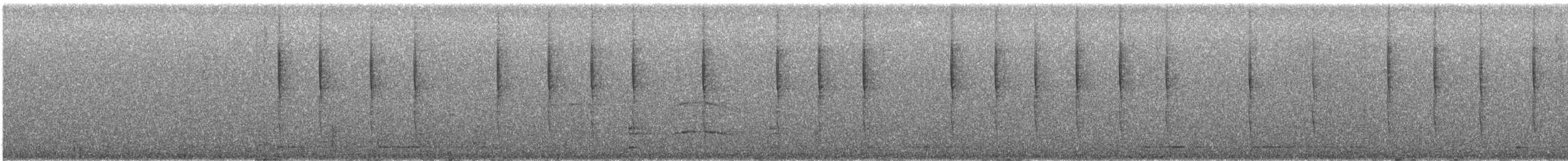 White-eared Hummingbird - ML646856730