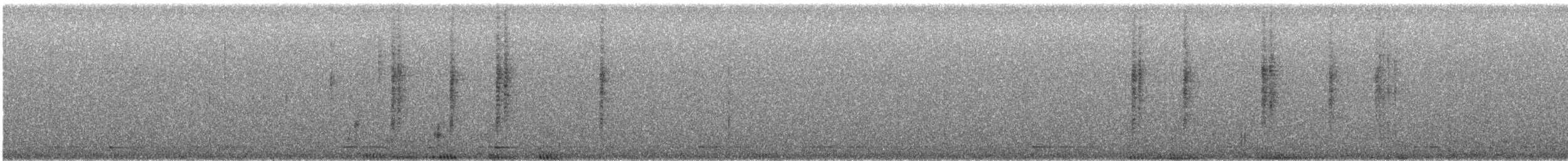 Broad-billed Hummingbird - ML646856735