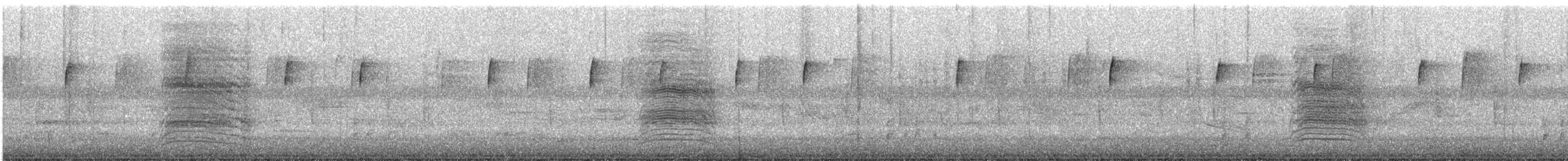 Gray Catbird - ML646856778