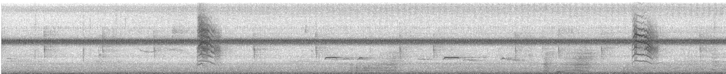 Gray Catbird - ML646856789