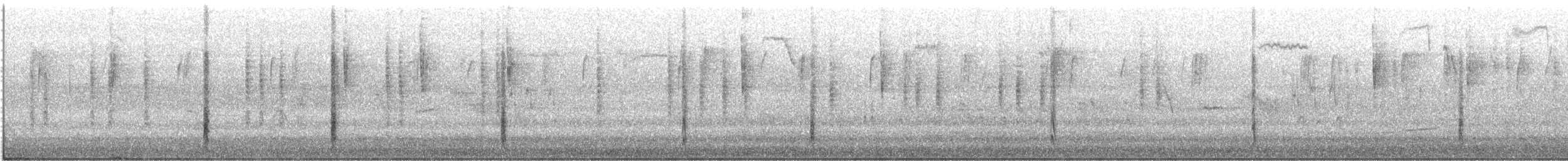 Great-tailed Grackle - ML646856813