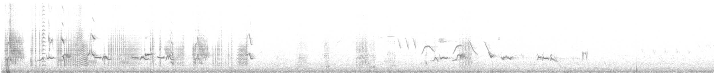 Zozo papargorria - ML646856823