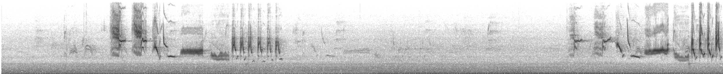 Bewick's Wren - ML646856865