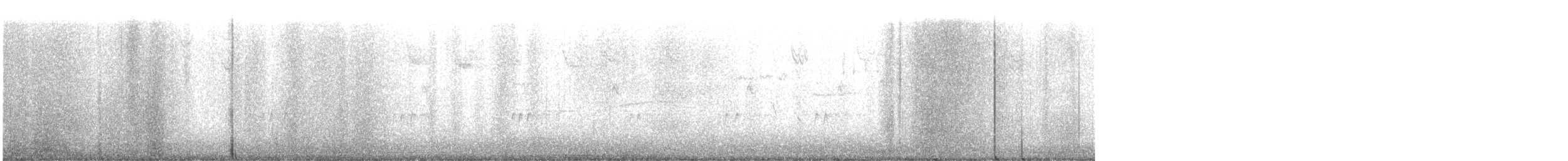 passerine sp. - ML646856947