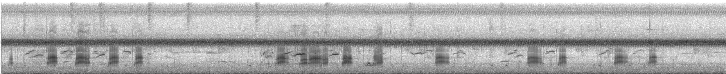 Gadwall - ML646857020