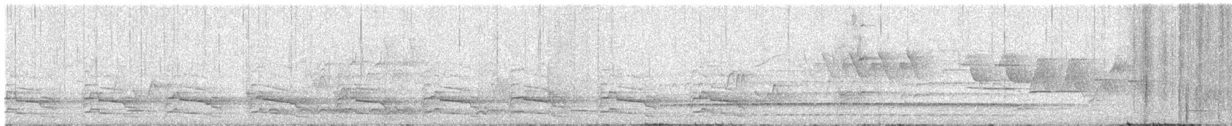 bird sp. - ML646857164