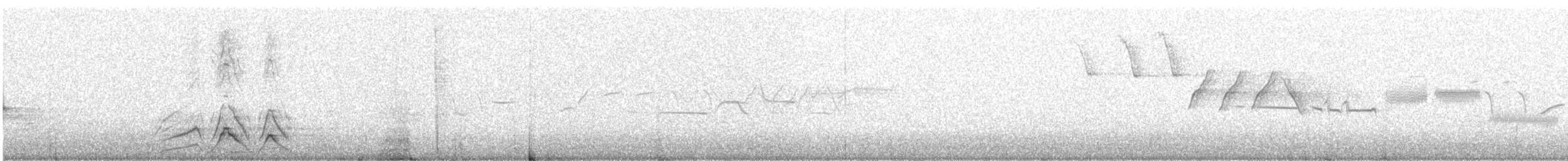 Свищ американський - ML646857476