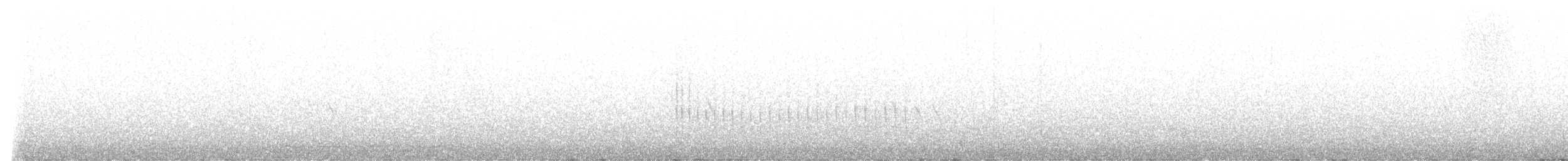 Belted Kingfisher - ML646857561