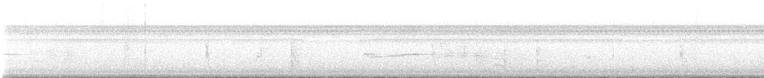 Hellbauch-Schnäppertyrann - ML646858539