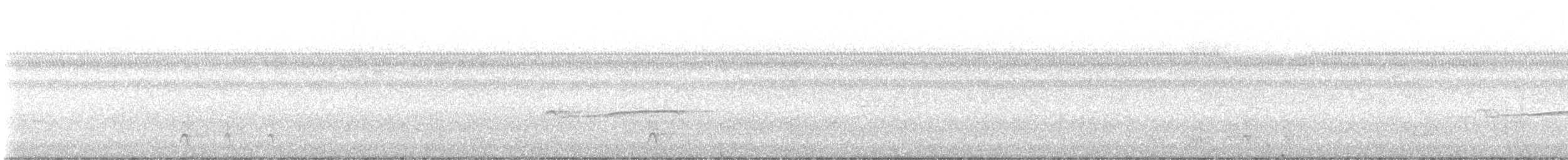 Hellbauch-Schnäppertyrann - ML646858540