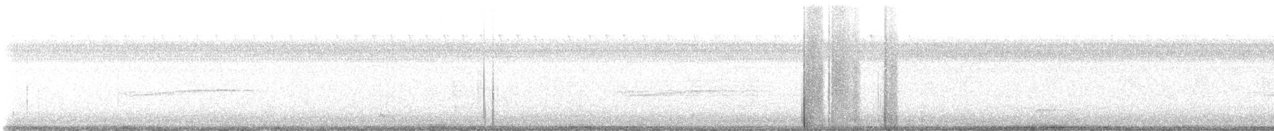 Hellbauch-Schnäppertyrann - ML646858544