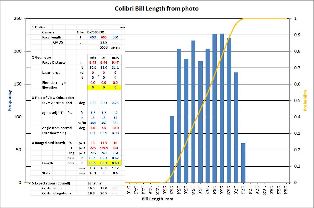Ruby-throated Hummingbird - ML646858971