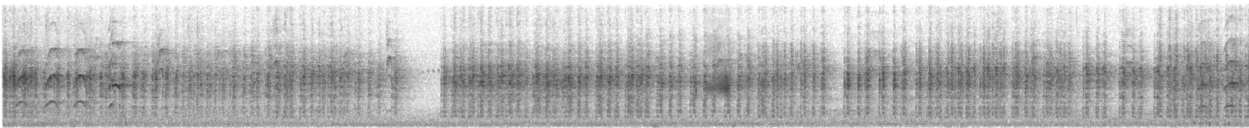 Gartenfächerschwanz - ML646859283