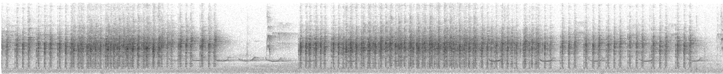 Gartenfächerschwanz - ML646859284