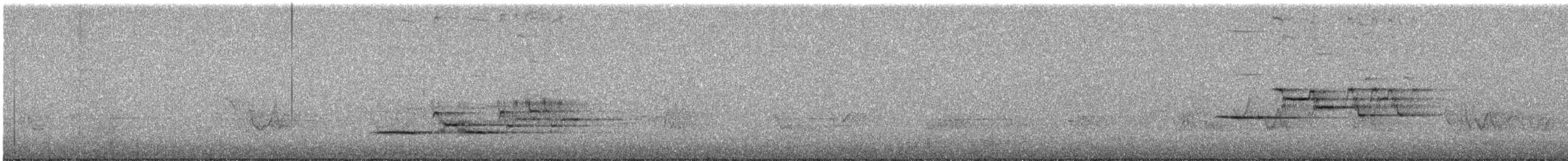 Einsiedler-Musendrossel - ML646859925