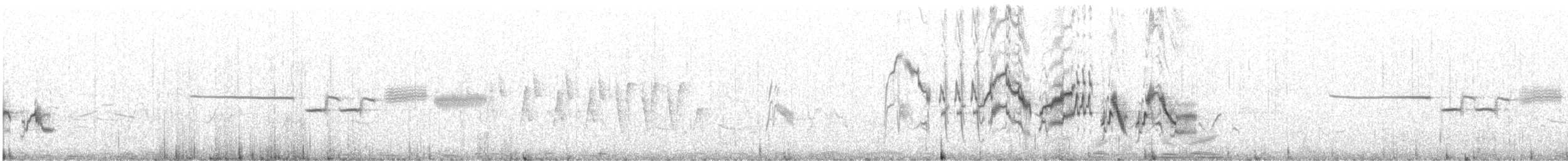 Dachsammer - ML646859982