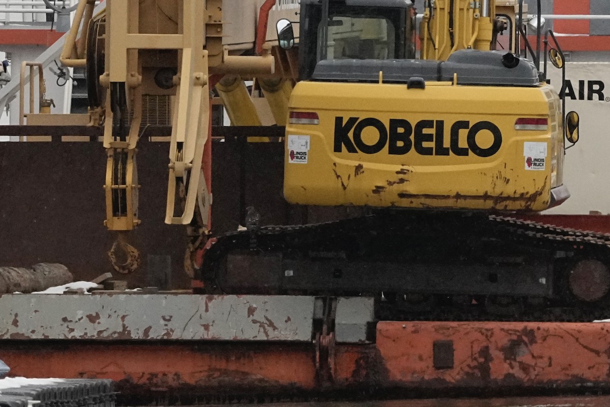 Accipitrine hawk sp. (former Accipiter sp.) - ML646860021